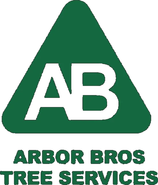 Arbor Bros Tree Services